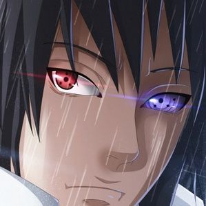 Meet your Posher, Davon